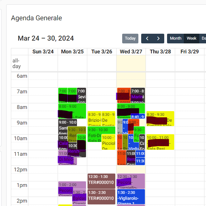 MyFastGym - Agenda appuntamenti con vista multipla con diversi livelli di visualizzazione.